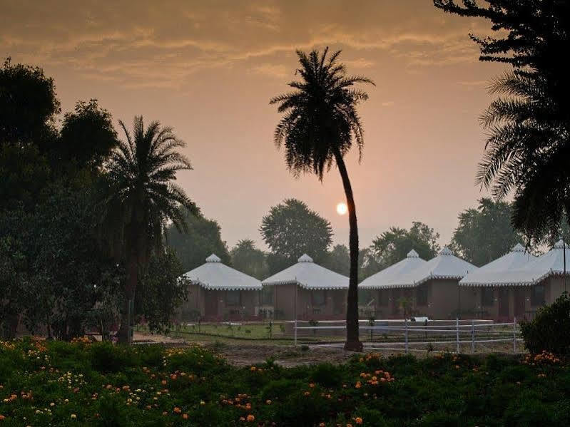 Lohana Village Resort Pushkar Exterior foto